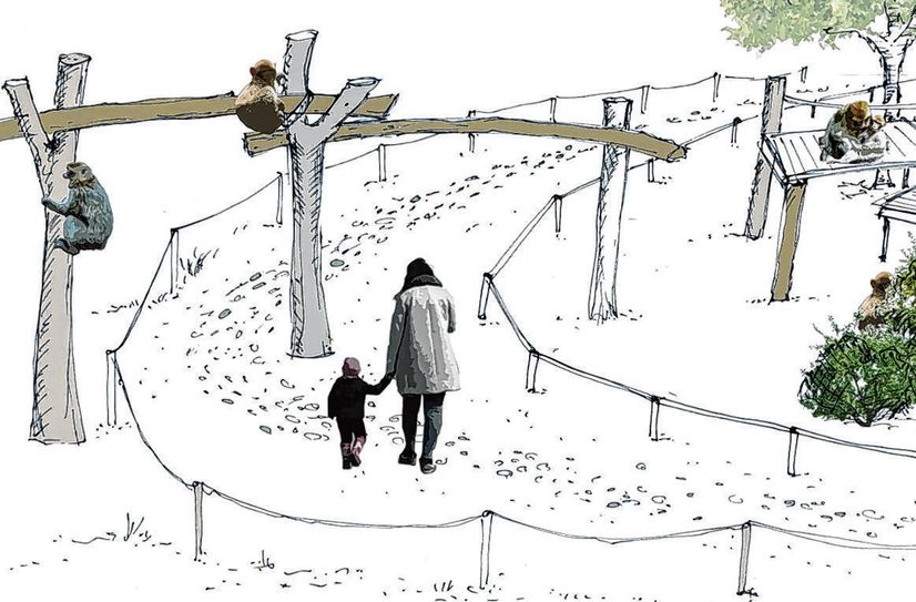 Die Pläne für den Tierpark liegen vor. Jetzt wurde auch der Betreiber festgelegt.