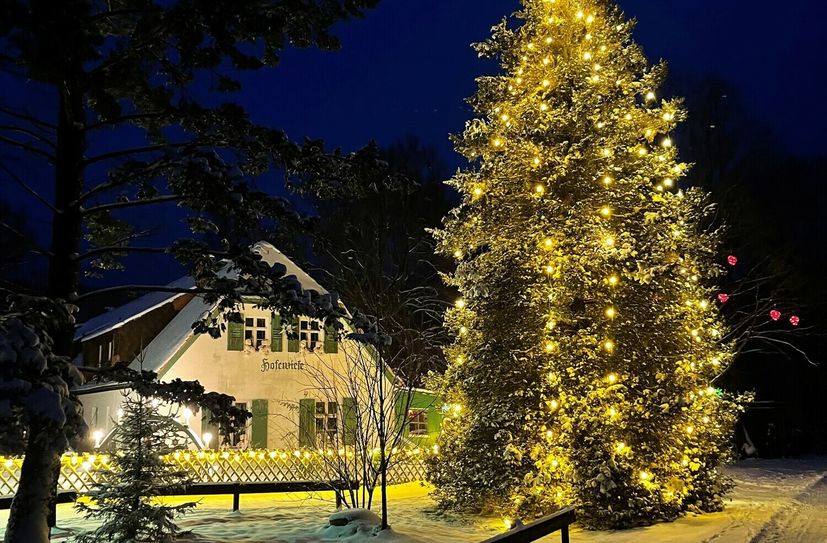 Dieses Wochenende lädt die Hofewiese zur Heideweihnacht.