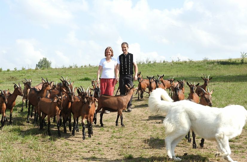 Doreen und Rolf Seim sind eng mit ihren Ziegen verbunden, denen sie auch jederzeit den nötigen Auslauf gewähren.