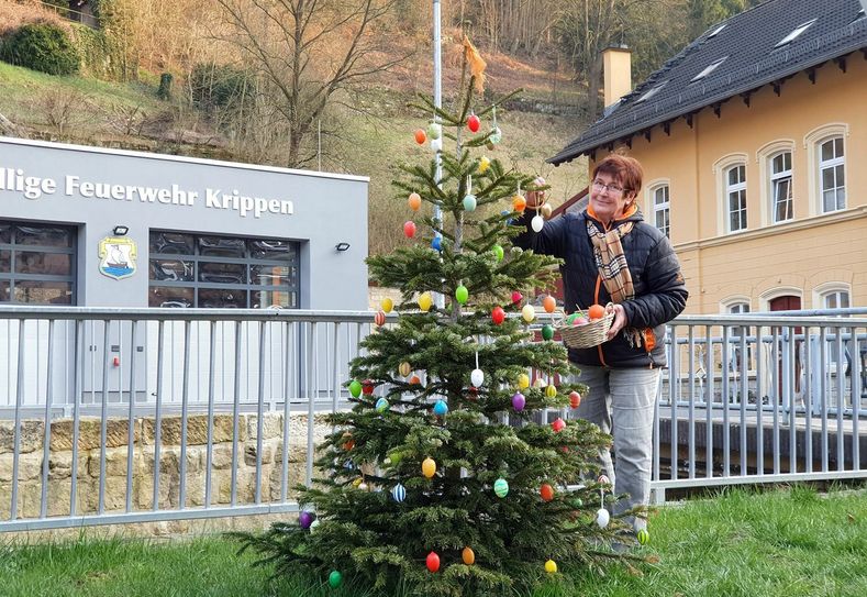 Die Lichterketten am Weihnachtsbaum sind längst verschwunden. An deren Stelle hat Christine Tamm jetzt mehr als bunte Ostereier gehängt. Ihr Enkel hat ihr dabei geholfen. Die Nordmanntanne hat als „Osterbaum“ noch Verwendung bis er ausgedient hat. Foto: Daniel Förster