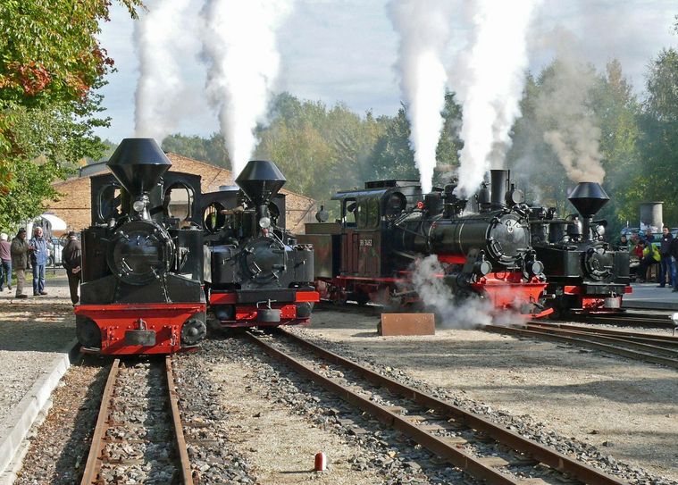Das Jubiläum feiert die Waldeisenbahn unter anderem mit einer Fahrzeugparade, die es am 11. September am Bahnhof Weißwasser-Teichstraße zu sehen gibt. Foto: Waldeisenbahn