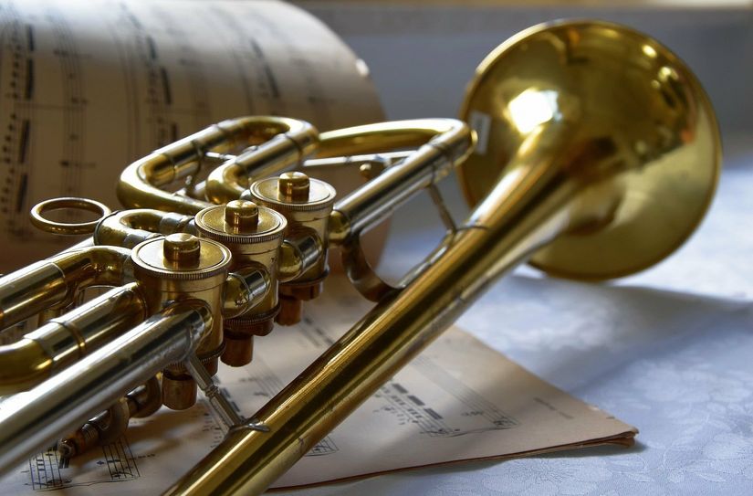 Auf zu Veranstaltungen der Musikschule des LK Meißen.