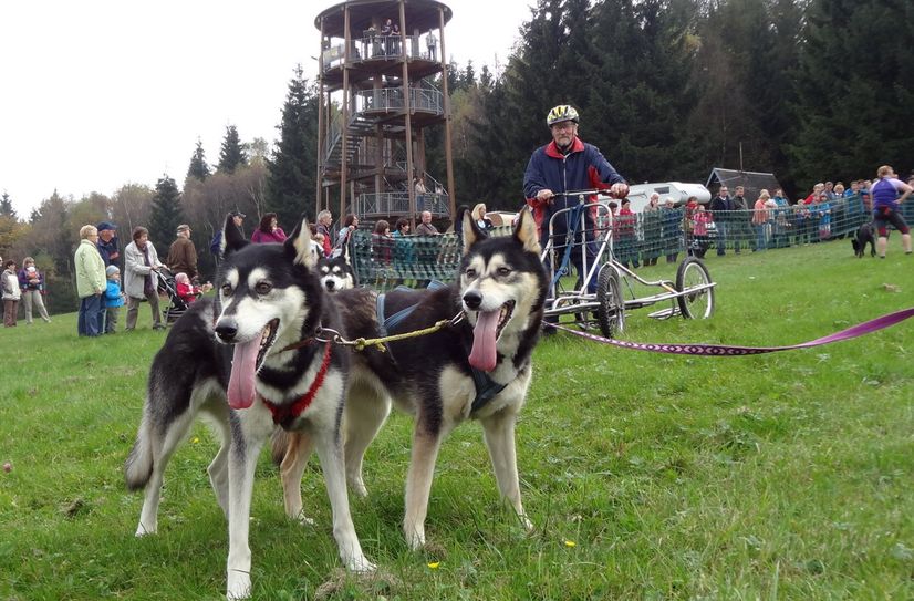 Die Verbeiner scharren bereits eifrig mit den Pfoten.