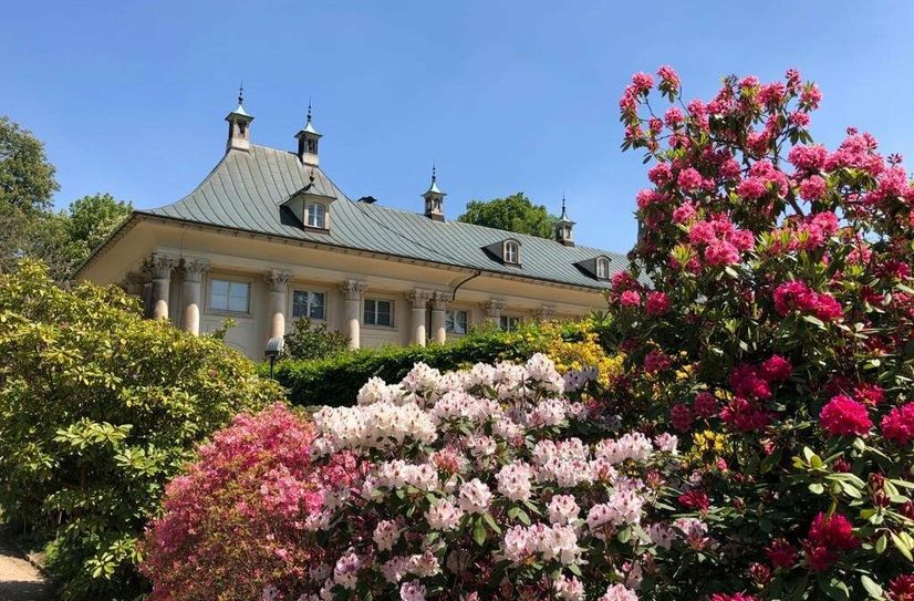 Eine blühende Oase, Schlosspark Pillnitz.