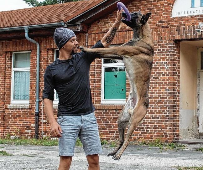 Martin Geyer ist nicht nur beim Thema Hund ein Profi. Auf diesem Areal in der Engelsstraße soll in den nächsten Monaten sein »Dogwerk« entstehen.                                                                         Foto: Silke Richter