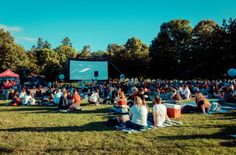 Kino im Park ist immer etwas Besonderes.
