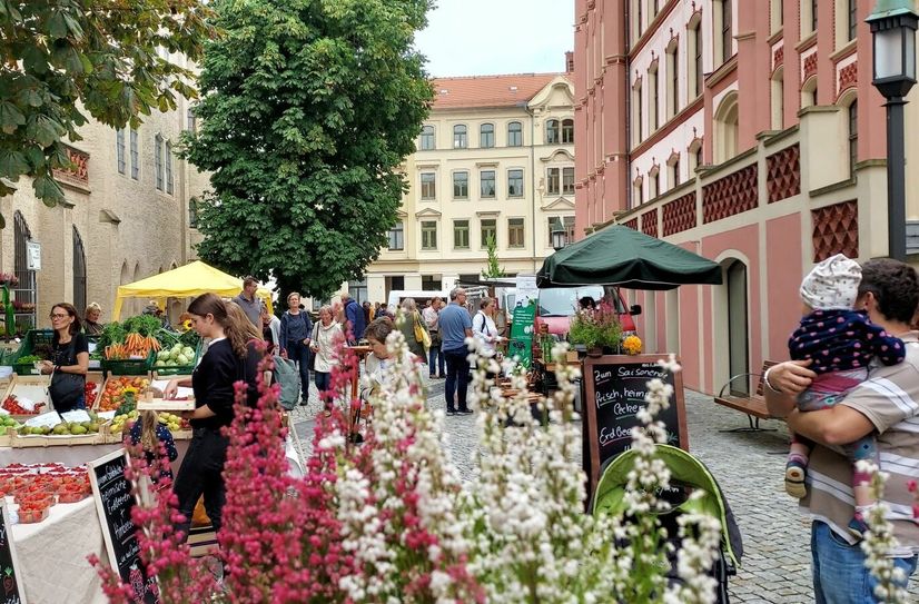 Grünmarkt im Hof der Roten Schule.