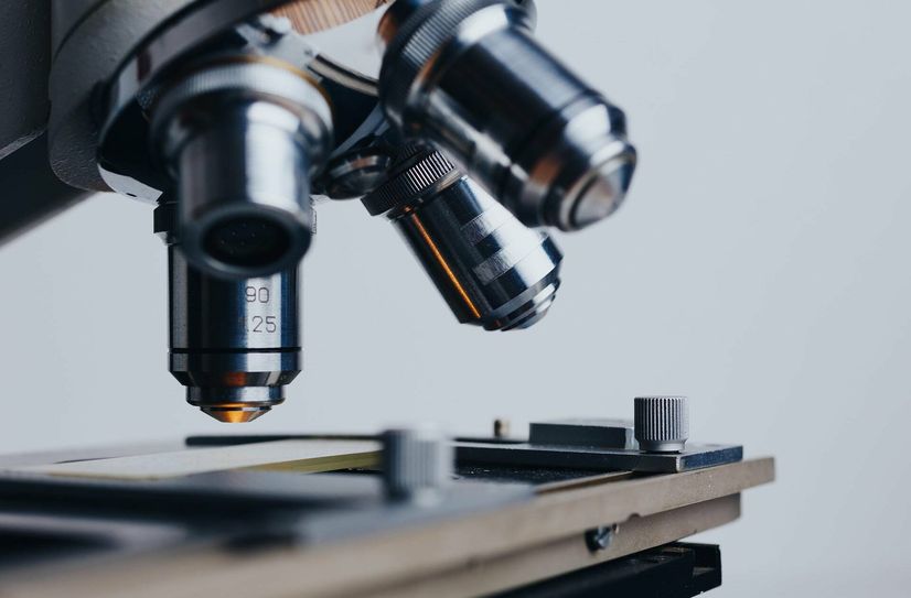 Die Wissenschaftsnacht findet dieses Jahr in einer Hybridvariante statt - mit Angeboten vor Ort und digital.