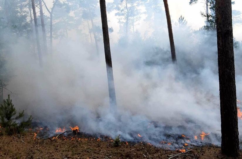 Das Feuer in der Lieberoser Heide hat sich bereits auf 66 Hektar ausgeweitet.