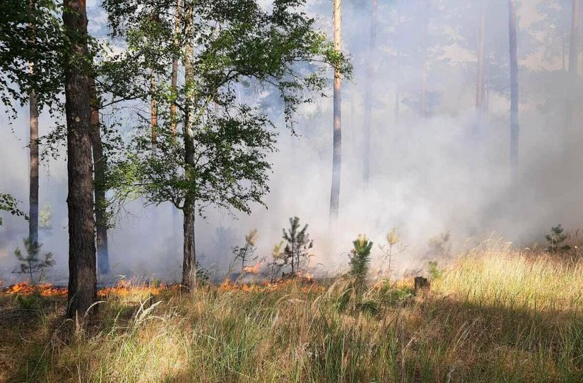 Feuer in der Lieberoser Heide.