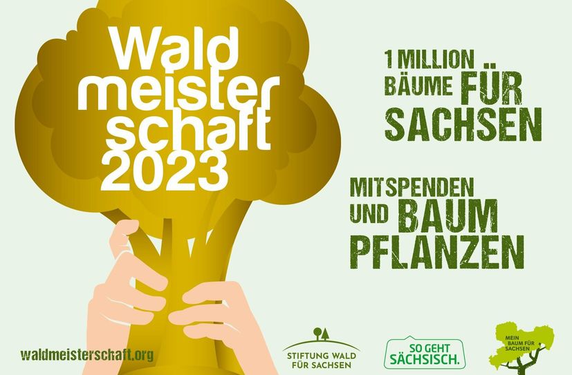 Wichtige Unterstützung für Sachsens Wälder.