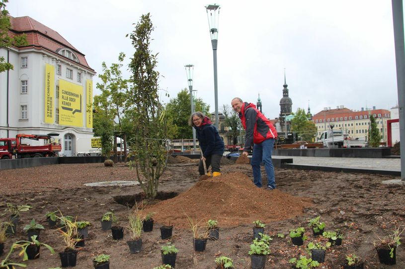 Umweltbürgermeisterin Eva Jähnigen und Detlef Thiel, Amtsleiter für Stadtgrün, beim Einpflanzen eines Zierapfel-Strauches. Fotos (3): Pönisch