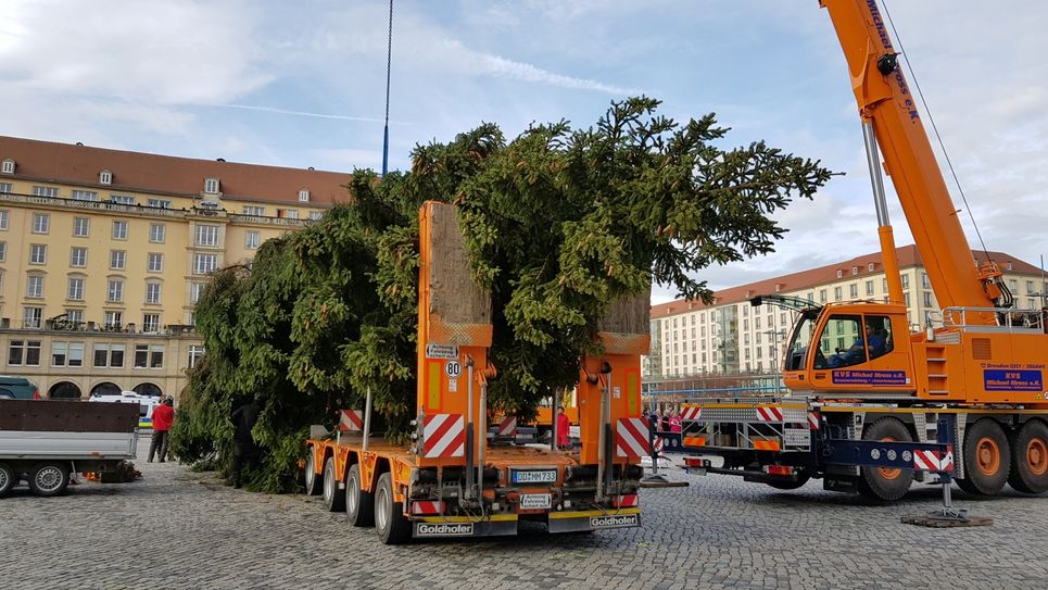 Schnappschuss von der Ankunft des Baumes 2019. Foto: Büttner