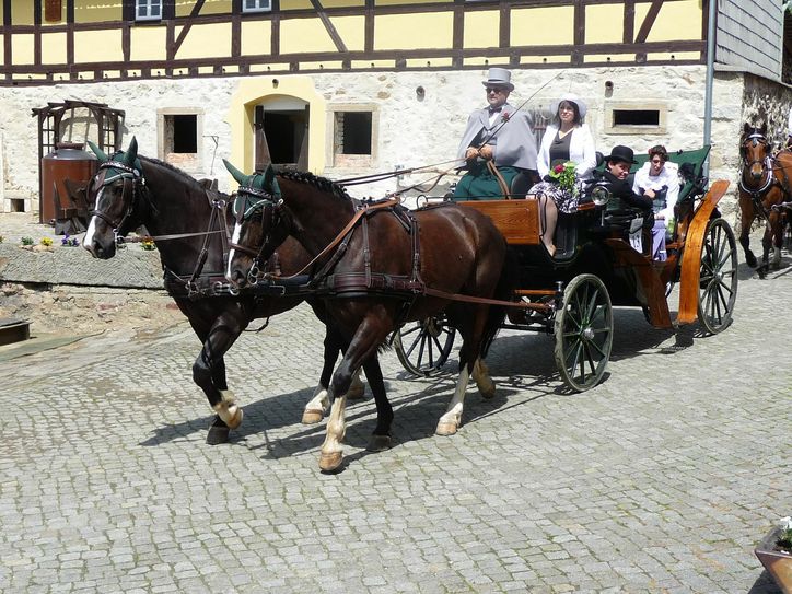 Wenn das Wetter am Sonntag passt, wird auch eine Traditionskutsche auf dem Vierseithof einfahren. Foto: privat