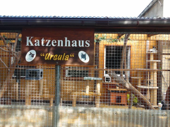 Blick aufs Katzenhaus „Ursula“.