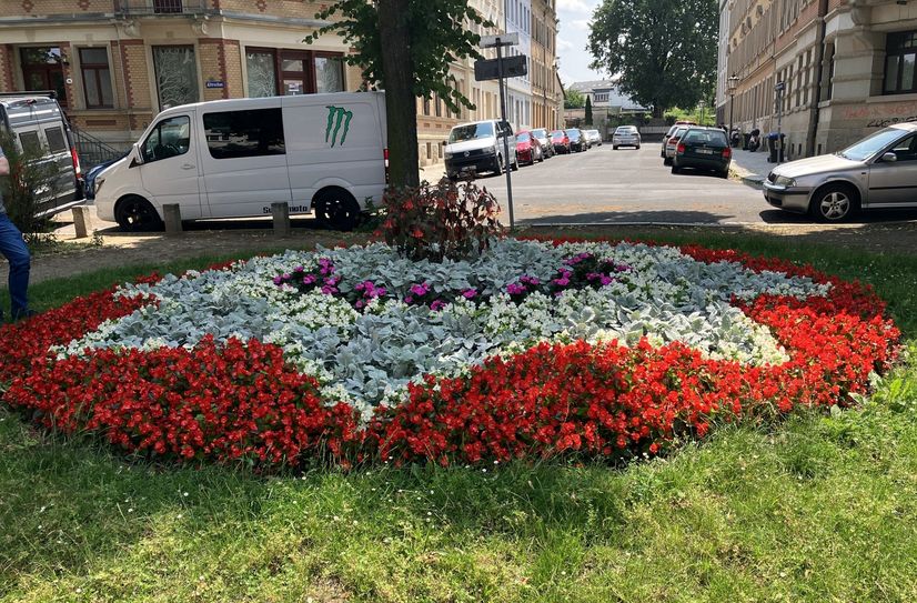 Blüten-Kunstwerk in Alttrachau.