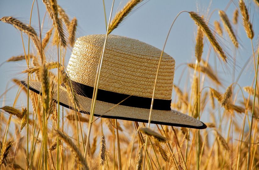 Der Sommer zeigt sich von seiner besten Seite. Bei hohen Temperaturen sollte jeder Mensch gut behütet sein.
