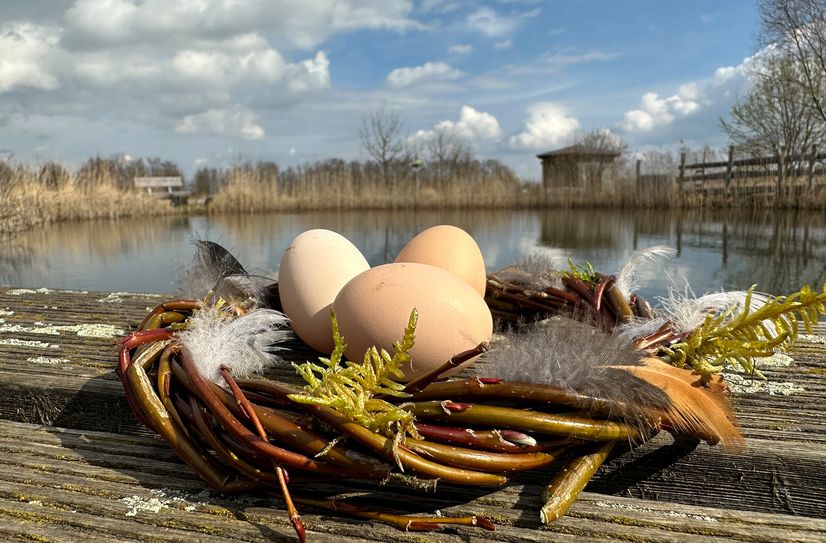 Ab dem 29. März ist das Heinz Sielmann Natur-Erlebniszentrum in Wanninchen wieder von Dienstag bis Sonntag, jeweils von 10 bis 17 Uhr, geöffnet.
