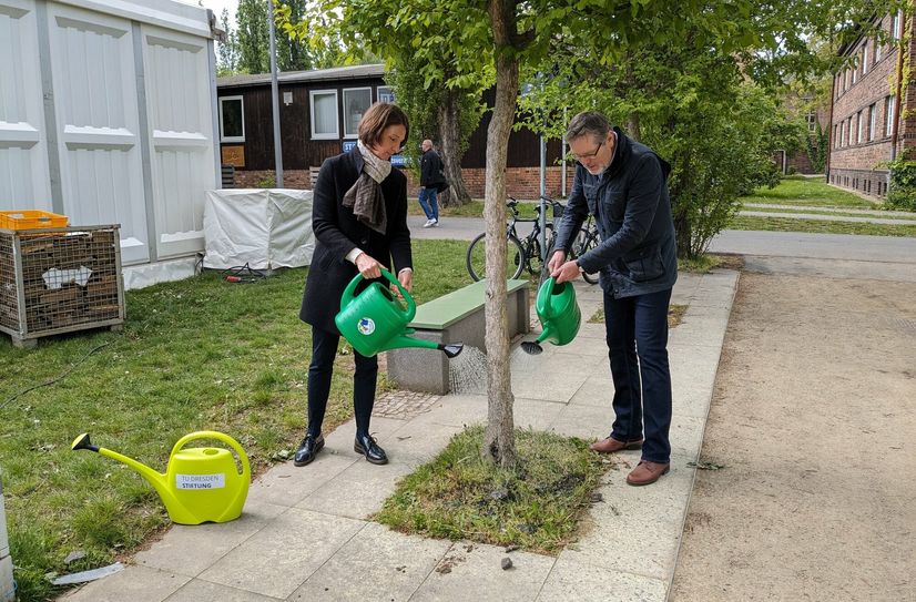 Damit können dann bequem die umliegenden Bäume gewässert werden - und es wird zudem Trinkwasser gespart.