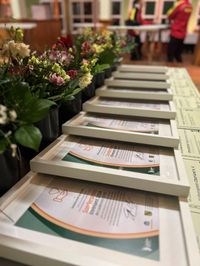 Auszeichnung Sonderpreis Ehrenamt
