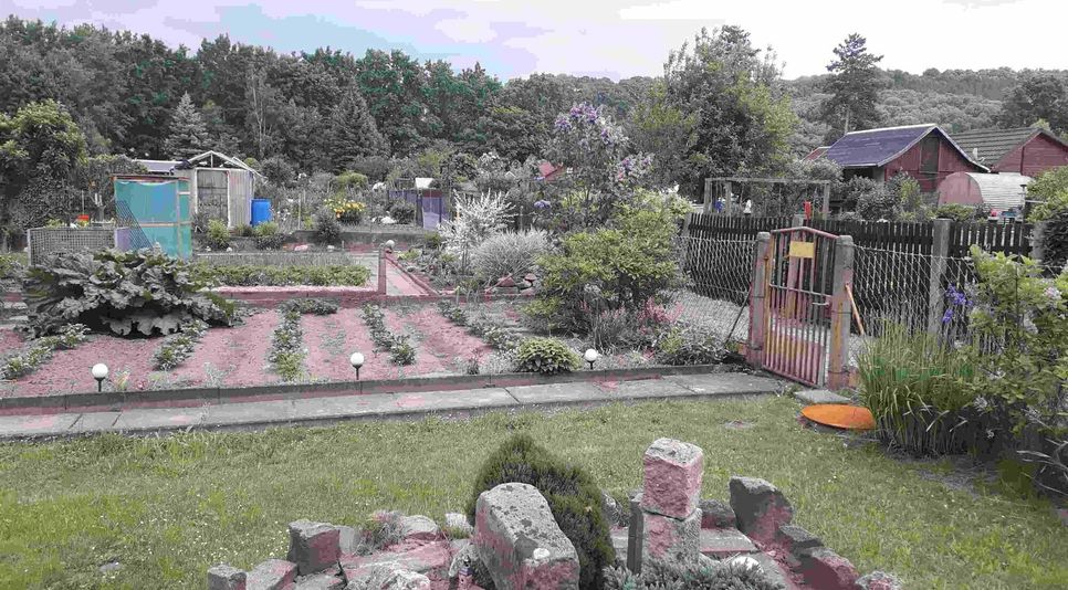 Blick in  die Gartenanlage »Waldesruh« in Pirnas Südvorstadt.