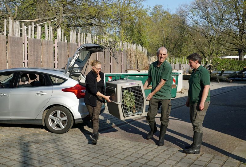 Dienstag, 16. April: Ankunft in Dresden