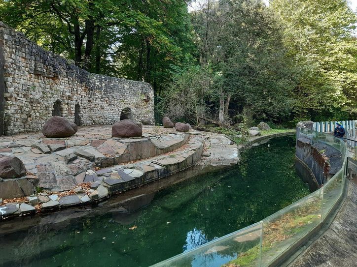 Die Bärenanlage im Zoo Augsburg. Foto: Zoo Augsburg