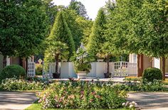 Zur Saisoneröffnung im Rosengarten erwartet die Besucher ein abwechslungsreiches Programm.