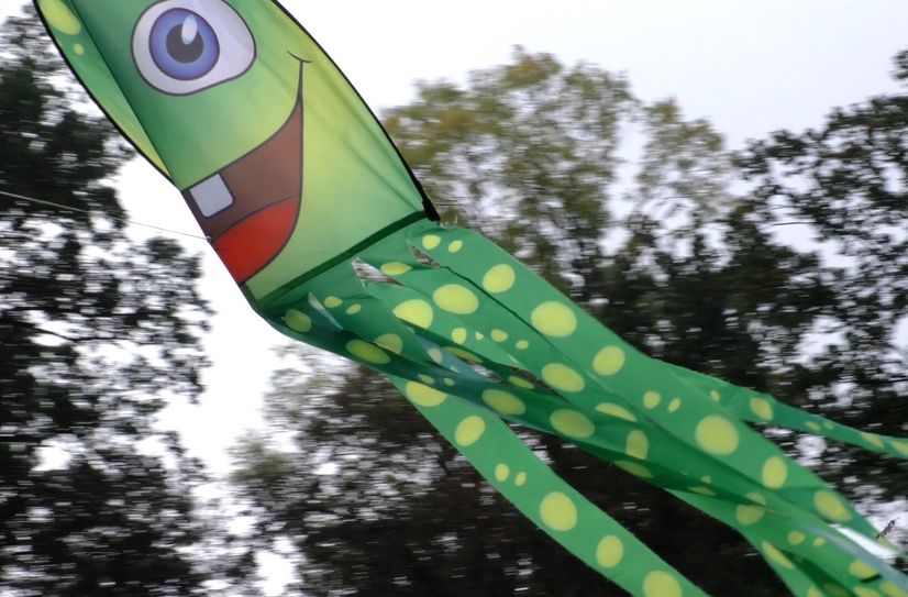 Ein Drachenfest im Schlosspark steigt am 25. Oktober.