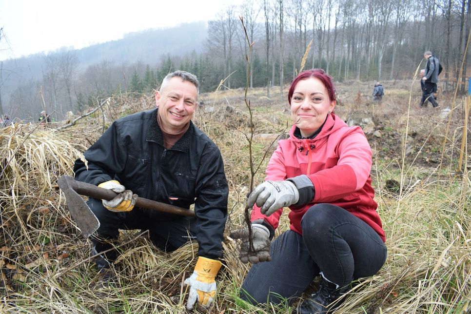 Multi-Möbel Geschäftsführer Tommy Fietze und Mitarbeiterin Sandra Pätzold sind dabei, einen Baumsetzling einzupflanzen.