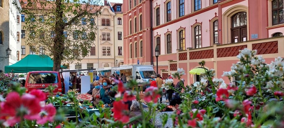Auf dem Meißner Grünmarkt gibt es frische Erzeugnisse aus der Region. Foto: Stadt Meißen