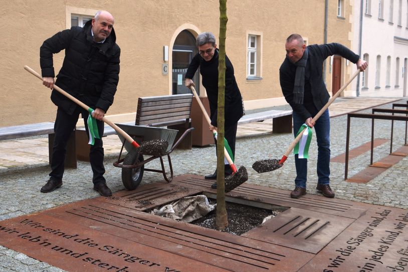 Bürgermeister Jörg Gampe (Mitte), Architekt Dr. Achim Krekeler (links) und Landschaftsarchitekt Gunnar Lange (rechts) pflanzen einen Feldahorn ein. Die Pflanzfläche ist von einer Cortenstahlfläche umfasst. Darin ist die erste Textzeile des Finsterwalder Sängerliedes eingestanzt. Foto: Stadtverwaltung Finsterwalde