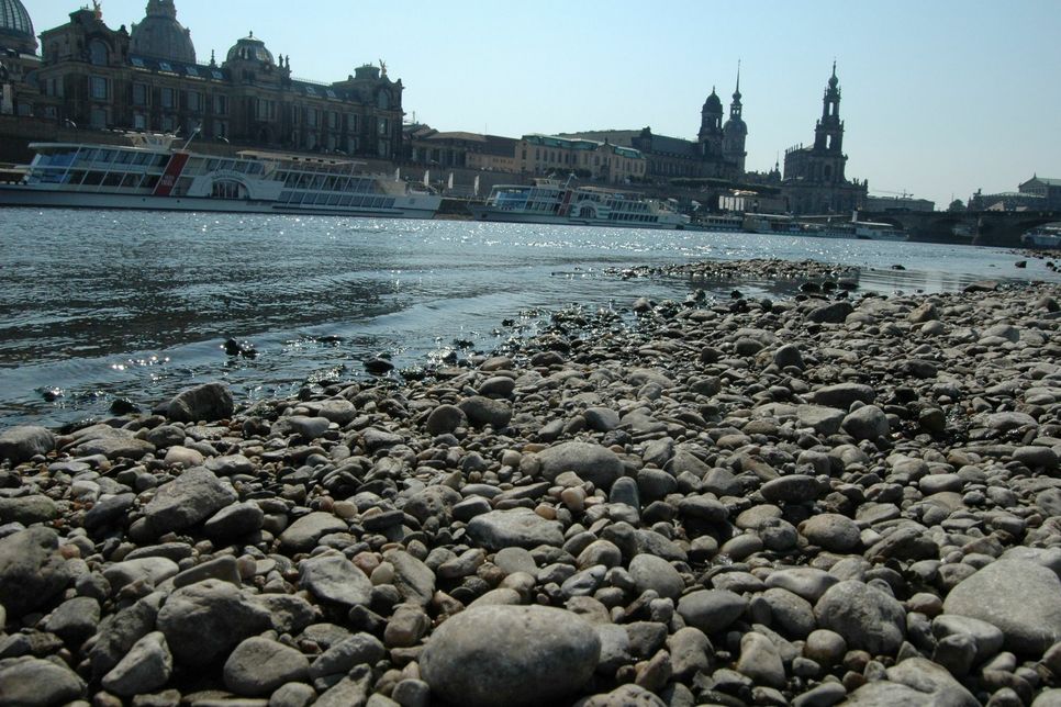 Auch wenn es so aussieht: Die Elbe ist alles andere als ein harmloses Flüsschen. Selbst bei niedrigem Pegelstand können Menschen hier ertrinken. Foto: Archiv/Pohl