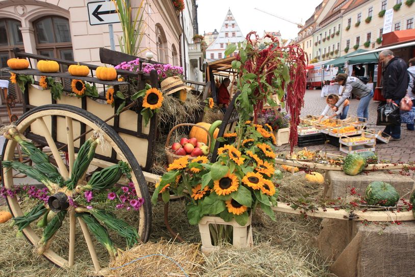 Herbstliches Treiben in Pirnas Altstadt.    Foto: Archiv/D.Förster