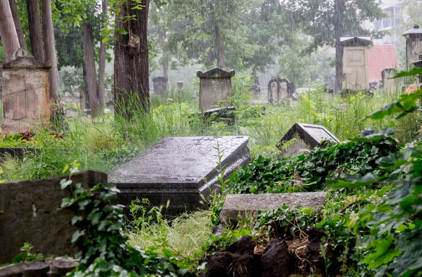Eine Szenarie wie aus einem Film - Einblicke auf den Eliasfriedhof.