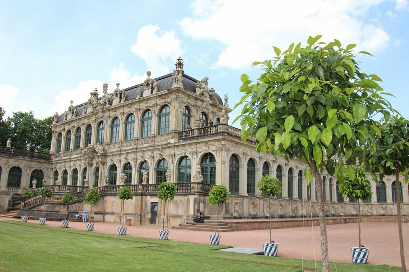 Am Montag kehren die kleinen Orangenbäumchen wieder in den Zwinger Dresden zurück. Foto: Pönisch