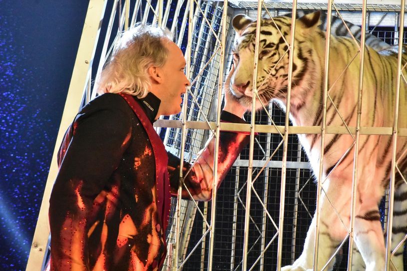 Foto: Schiller (Show 2019)