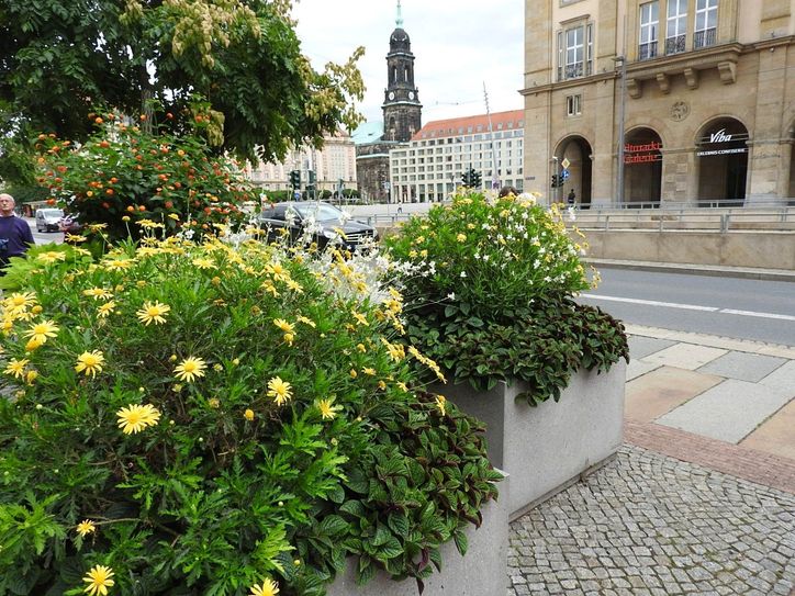Demnächst zeigt sich die Stadt wieder sommerlich, zumindest in Blumenkübeln und auf Rabatten. Foto: Pönisch
