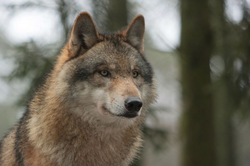 Foto: Petra Kohlstädt/fotolia.com