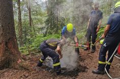 Ausgerechnet am Jahrestag des Brand-Ausbruchs musste ein illegales Feuer gelöscht werden.
