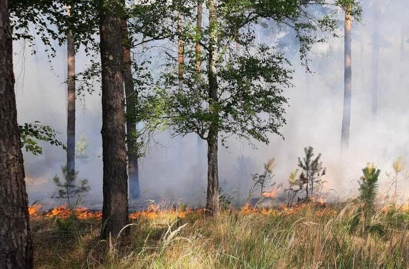In der Lieberoser Heide brennt es weiter.