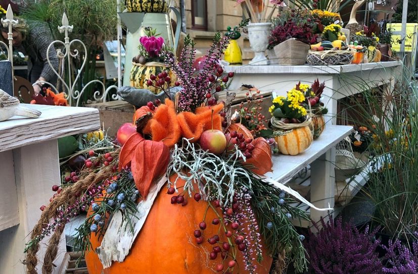 Herbstzauber in Pirna