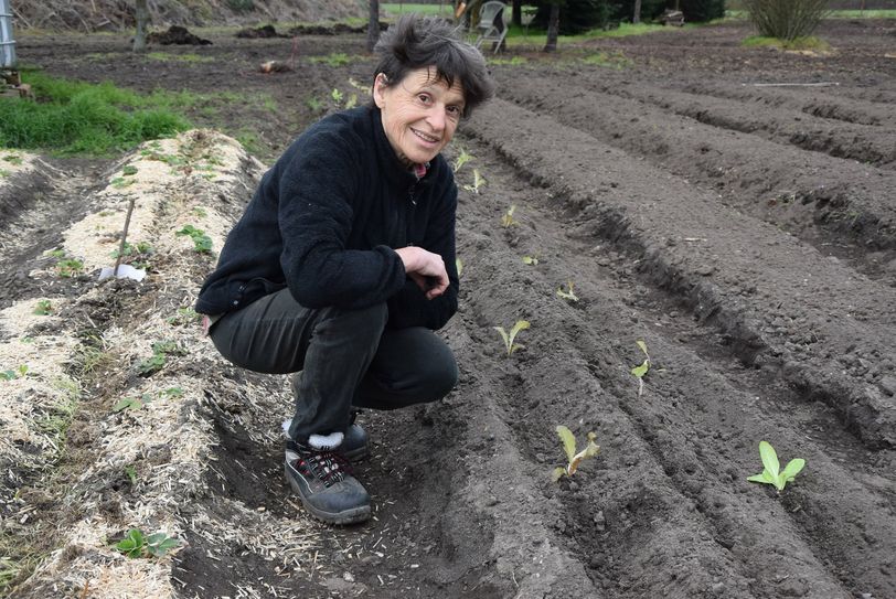 Biolandwirtin Esther Claus hockt zwischen einem gemulchten Erdbeerbeet (l.) und dem angehäufelten Beet, auf dem am Rand Salat wächst. Oben in der Mitte wird später Mangold gepflanzt.