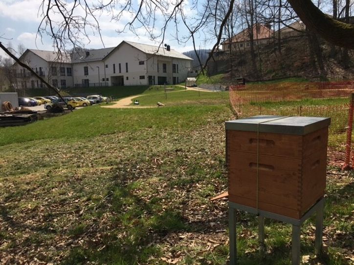 Die Mobile Haus-Krankenpflege Kröber hat jetzt an den Standorten in Zittau (2) und Hainewalde jeweils ein Bienenvolk im Garten. Foto: Claudia Hesse