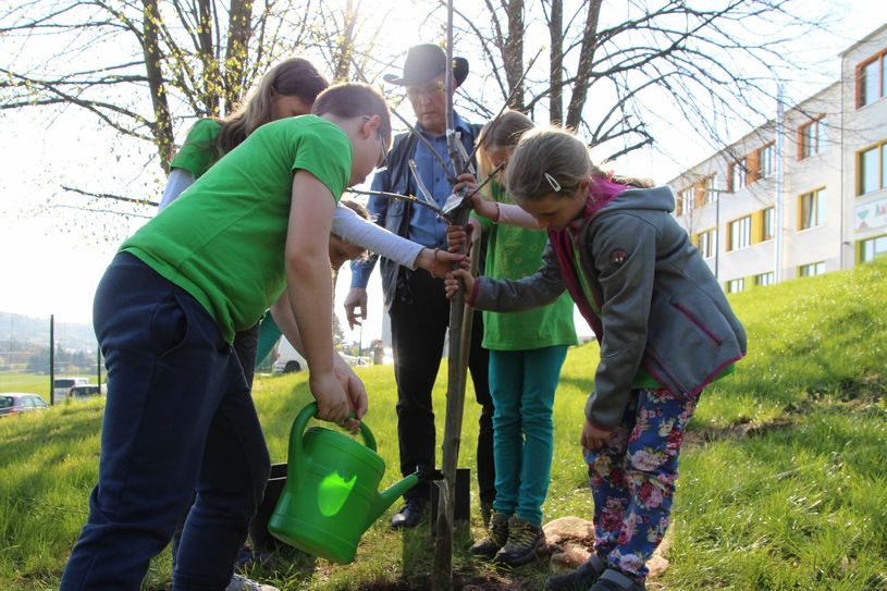 Bombastus-Vorstand Joachim Günther und die Grundschüler pflanzten u.a. eine Süßkirsche. 	   Foto: Schramm