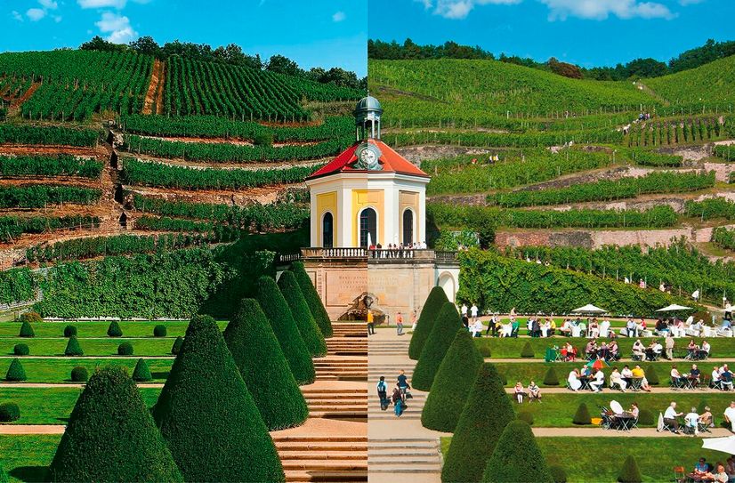 Europas erstes Erlebnisweingut Schloss Wackerbarth ist nun als eines der »Unique Wineries of the World« ausgezeichnet worden.          Foto: Schloss Wackerbarth
