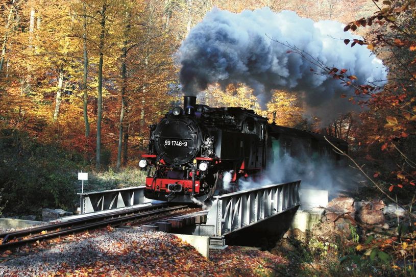 Die Weißeritztalbahn dampft. Foto: Archiv/Schmidt