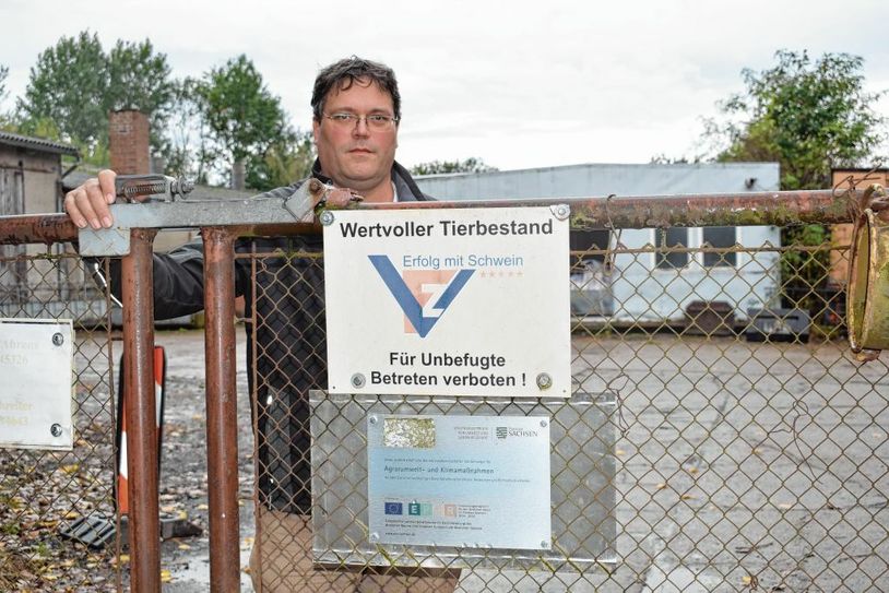 Christian Ahrens betreut im Familienbetrieb in Schmiedefeld 450 Sauen. Auf dem gesamten Gelände herschen höchste Hygienestandards. Foto: spa