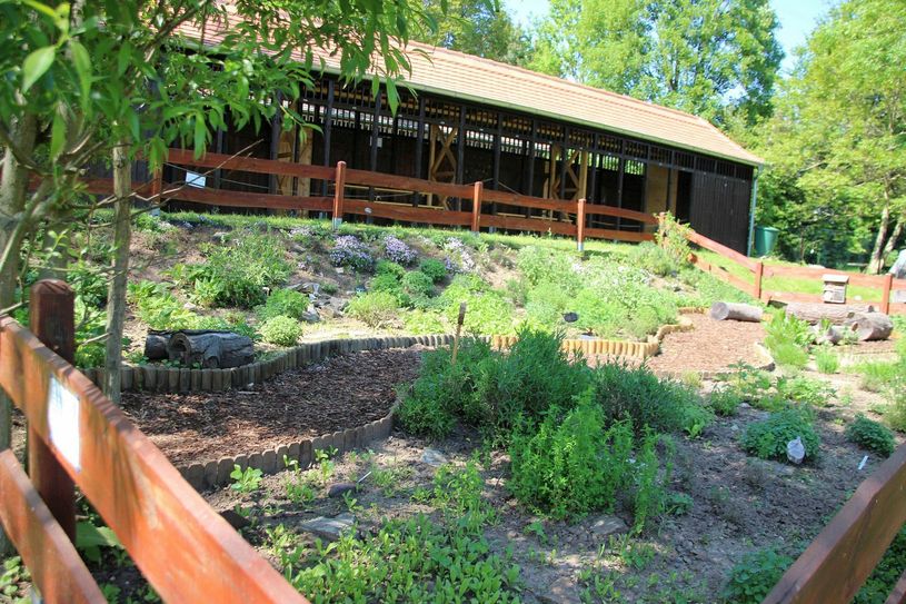 Der Kräutergarten im Zschonergrundbad
