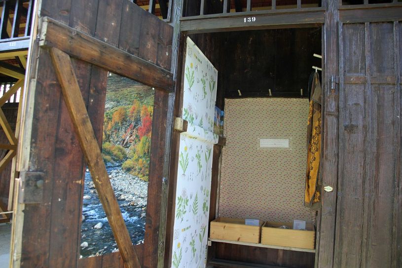 Die Schaukabine im Zschonergrundbad